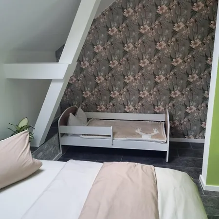 Am Rittergut Giesenstein 公寓 Bad Gottleuba