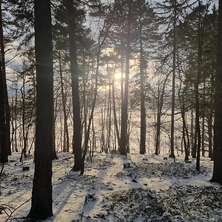 Am Rittergut Giesenstein * Bad Gottleuba
