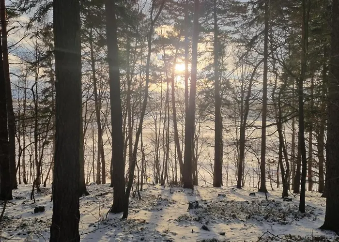 Am Rittergut Giesenstein * Bad Gottleuba
